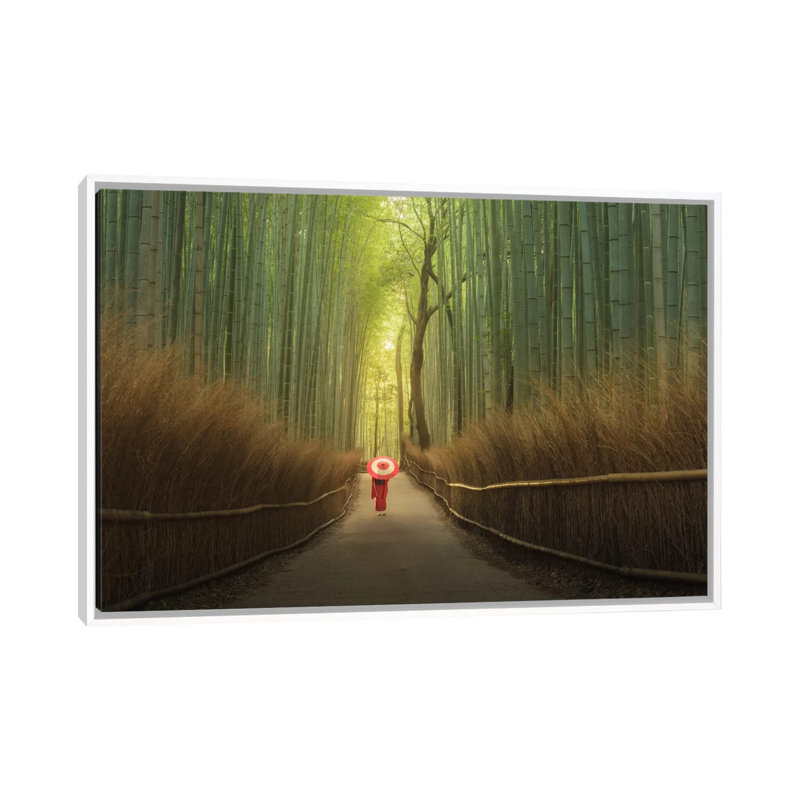 Bamboo Forest In Japan by Daniel Kordan - Print on Canvas, White Framed, 152.5 cm H x 101.5 cm W