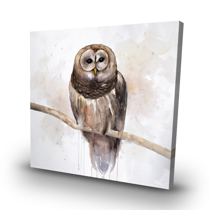 Barred owl - 32"x32" art on canvas