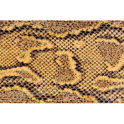 Snake Skin Macro by Cjp - Wrapped Canvas Print