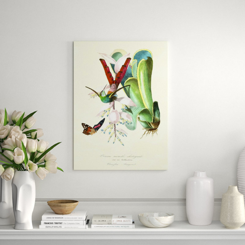 Hummingbird On Bromelaid Print by Porter Design, 48" H x 30" W, Outdoor