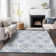 Shamica Washable Damask Indoor / Outdoor Rug