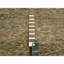 Tapis 7 pi 6 po x 10 pi brun en laine naturelle nouée à la main 10DD6FD9D3774FDEA856FC26976A00ED