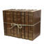ColorPak Chestnut/Tan Rebound Leather