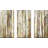 " Birch Path " 3 - Pieces-213024954