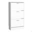 Range-chaussures, 3 portes, 3 tablettes, blanc-608355846