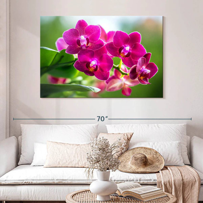 Orchidée Harnek