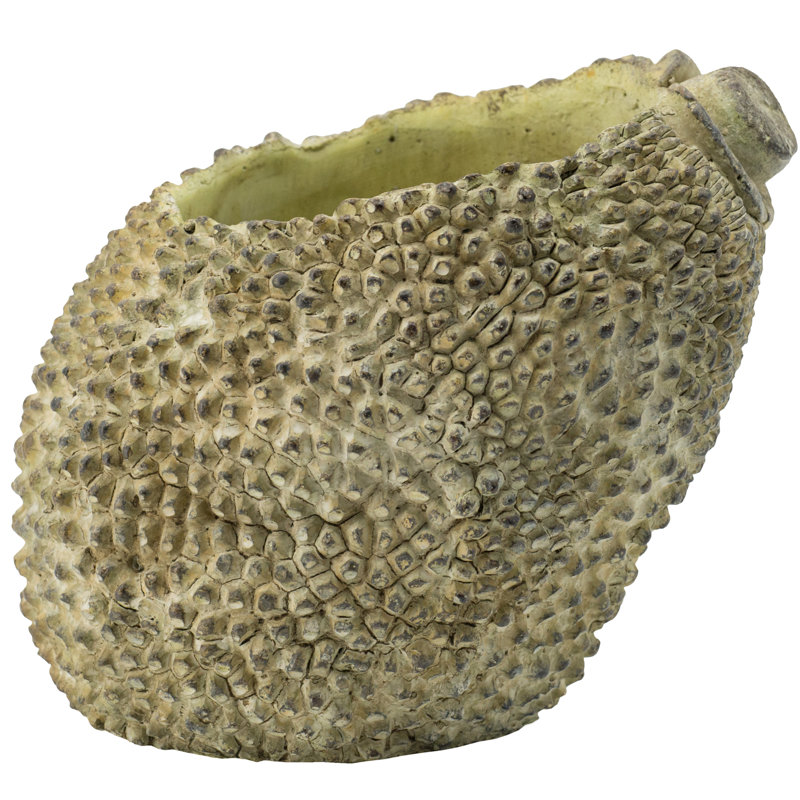 Pot à fleurs 100% ciment Uhrichsville, H 7,1 po x l 7 po x P 5,9 po