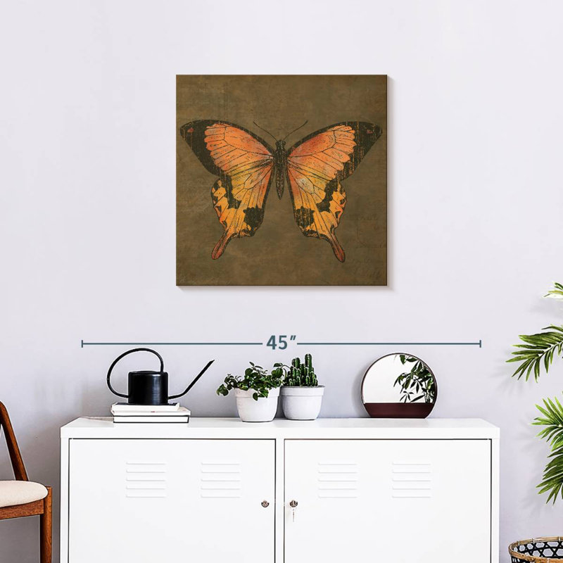 Corbeau papillon moka, H 24 po x l 24 po