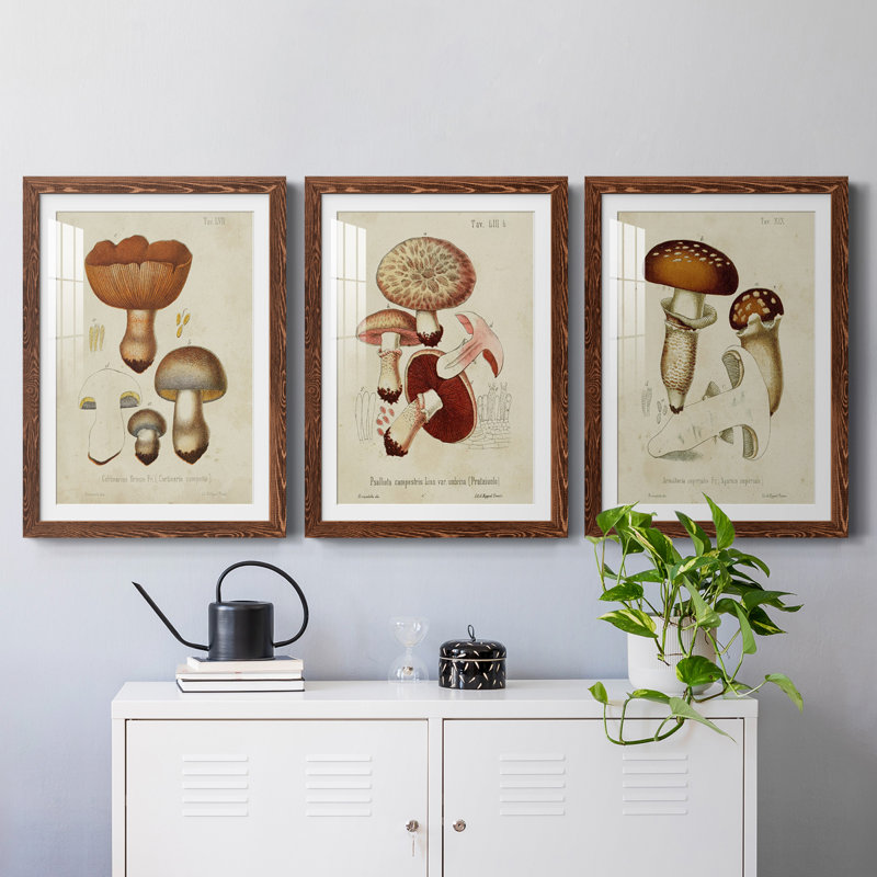 Champignon Variétés I encadré mat - prêt à accrocher, H 37,5 po x l 82,5 po x P 1,5 po, Érable
