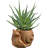 Derwin Statue Planter-691139011-691139020