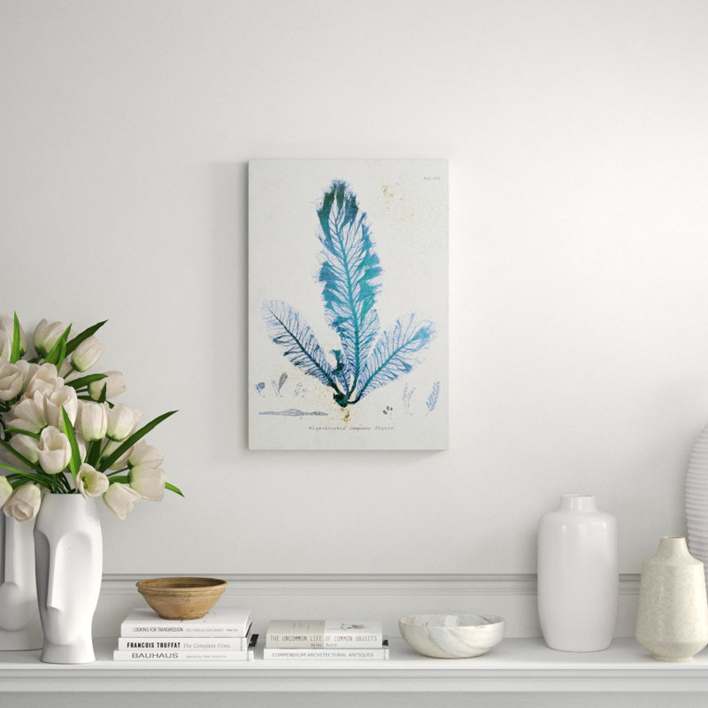 Wormskioldia Print by Henry Bradbury, Glass Coat, 26" H x 18" W x 1.5" D