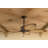 Nani 56'' Ceiling Fan-612010861