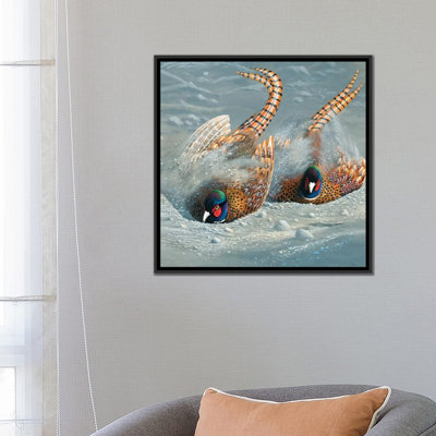 « gold faisan », impression sur toile