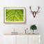 Leaf Roads - Picture Frame Graphic Art Print-56859858-56859859