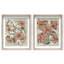Lilies Flower Set Set by Oliver Gal-764739428-764739423