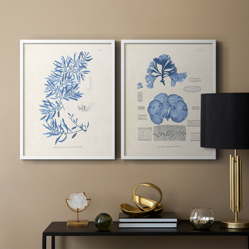 Blue Marine Algae III - reproduction encadrée de qualité supérieure - prête à être accrochée - aucun clou requis - aucun clou requis