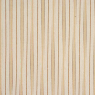 Striped Fabric