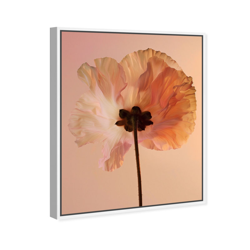Amber Radiance II Floral & Botanical Canvas Print by Oliver Gal, Black Frame, 16 x 20, 17"H x 21"W, White Floater Frame