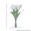 Ensemble de tulipes 13 po Eva-739757622