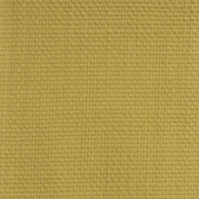 Shenanigans Fabric