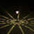 Brown Low Voltage Solar Powered Integrated LED Pathway Light Pack
