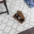 Wetzler Indoor Rug-1234868951
