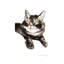 Cozy Kitten by Soo Beng Lim - Wrapped Canvas Painting-1695073872