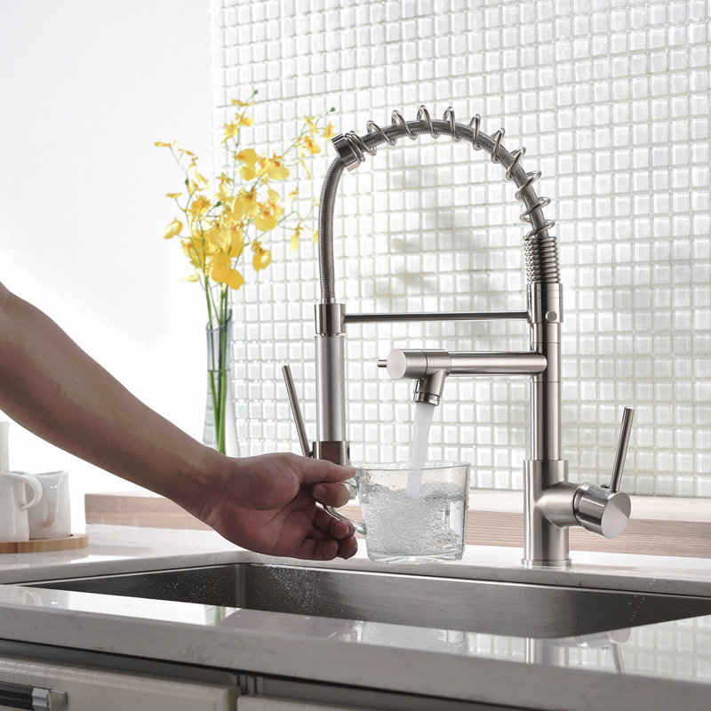 Robinet d'évier de cuisine à poignée simple avec douchette extractible
