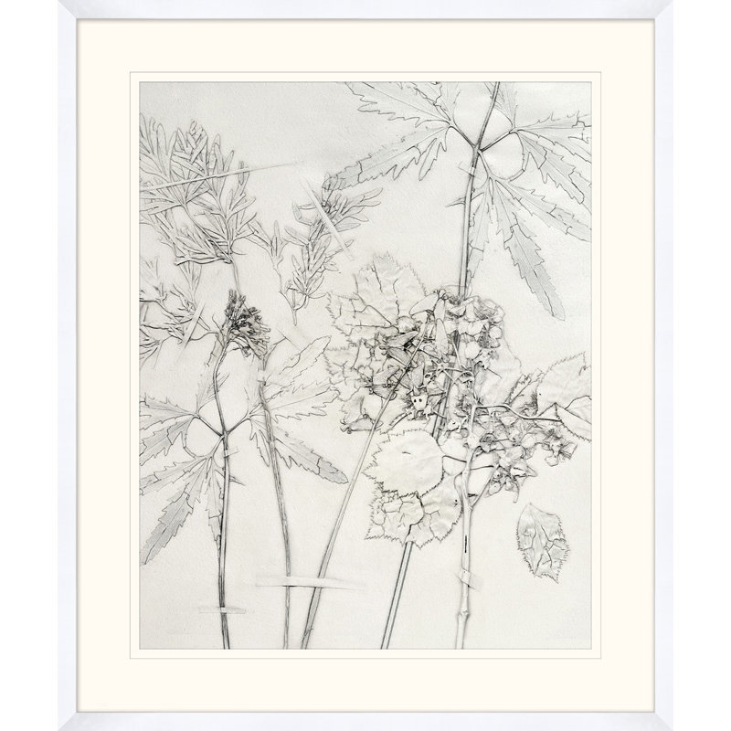 Painted Pressed Floral 4 Print