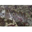 One-of-a-Kind 8'1" X 10'2" Area Rug