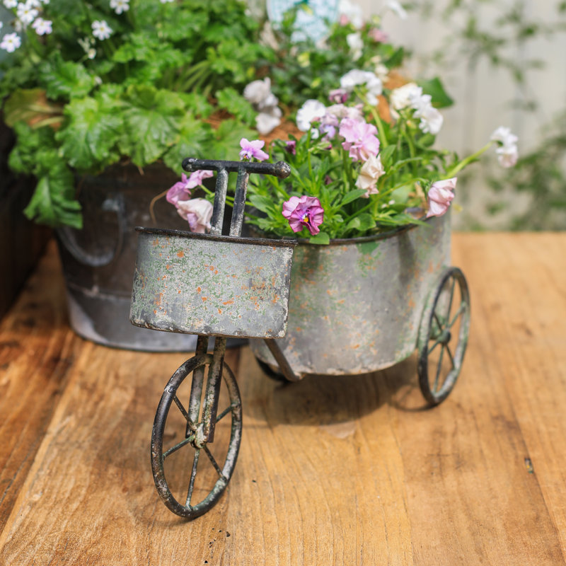 Boîte à fleurs Brouette