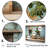 " Cuba Tranquily Retreat I "-1478318251-1478318258
