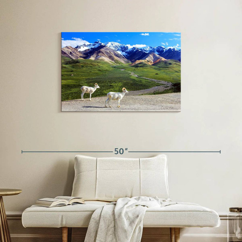 Rorry Dall Sheep In Denali, 24" H x 36" W