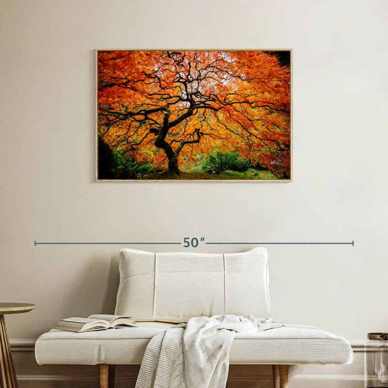 Automne érable japonais, Cadre flottant en bois naturel, 37 po x 25 po