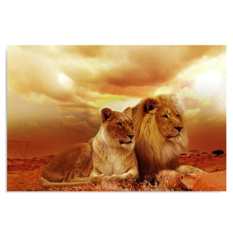 A Couple Of Lions - No Frame Print on Canvas, 70cm H x 100cm W