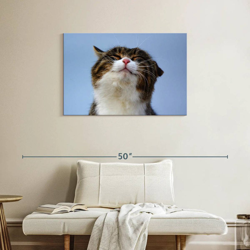 Refreshed Cat, 24" H x 36" W