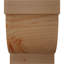 Sapin Douglas-1059789617-1059789616-1059789630