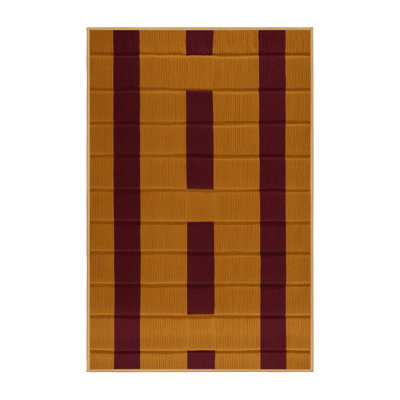 Machine Washable Checkered Brown Area Rug