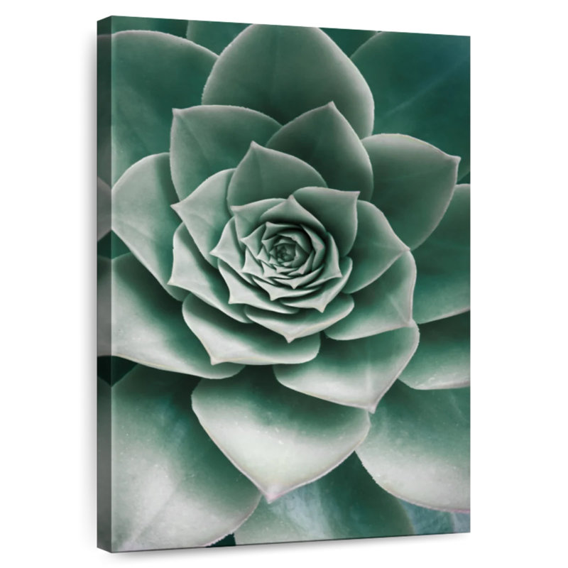 Harnek Emerald Succulent, 24" H x 16" W