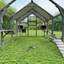 Grand enclos extérieur pour chat Catio