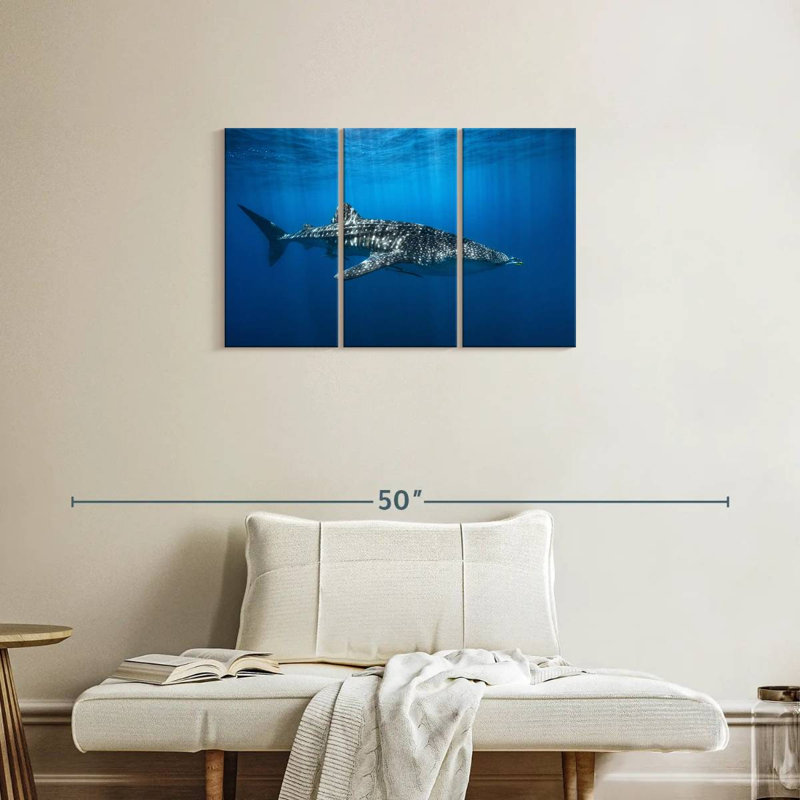 Brampt Whale Shark In The Blue, 20" H x 33" W