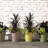 Madison Indoor/Outdoor Modern Round Planter-309931500-309931488