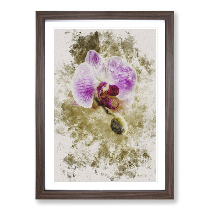 Orchid Flowers Vol.6 - Picture Frame Painting, 65cm H x 48cm W x 2cm D, Walnut Framed