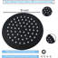 Pomme de douche 8 po