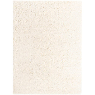 Indoor Rug