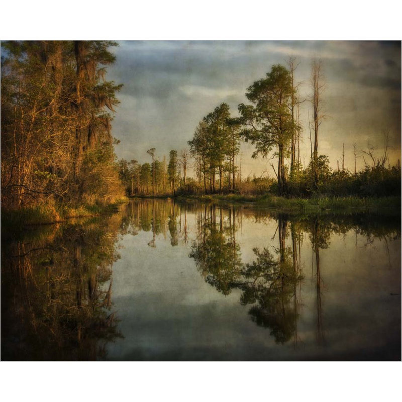 «Swamp Land 1» par Wiff Harmer, art mural sur toile