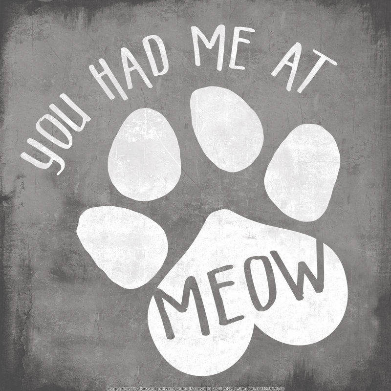 Had Me At Meow Gray - Wrapped Canvas Print, 91cm H x 91cm W