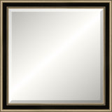 Antique Silver Old World Mirror