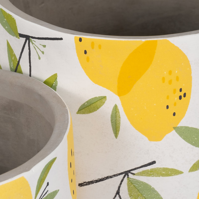 Sagebrook Home 2-Pieces Cement Growing Lemons Planter, Multi-Color