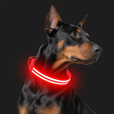 Illuminated Fiber Optic LED Dog Collar USB Rechargeable, 15.75-18.9 inches, Red